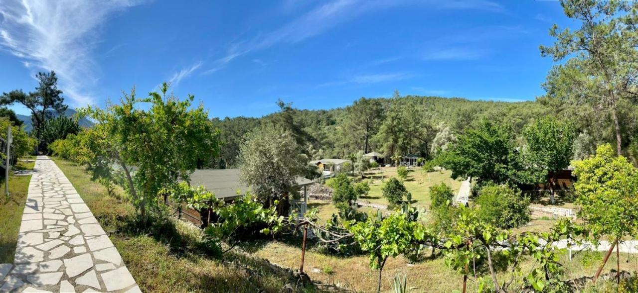 Olympos Angels Garden Hotel Kumluca Kültér fotó