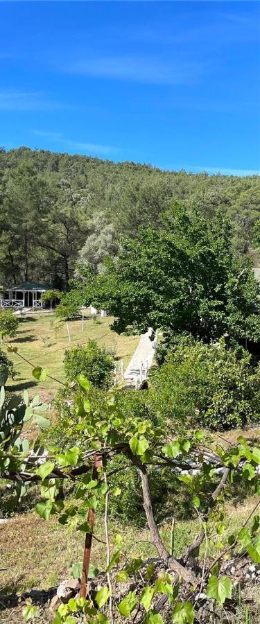 Olympos Angels Garden Hotel Kumluca Kültér fotó