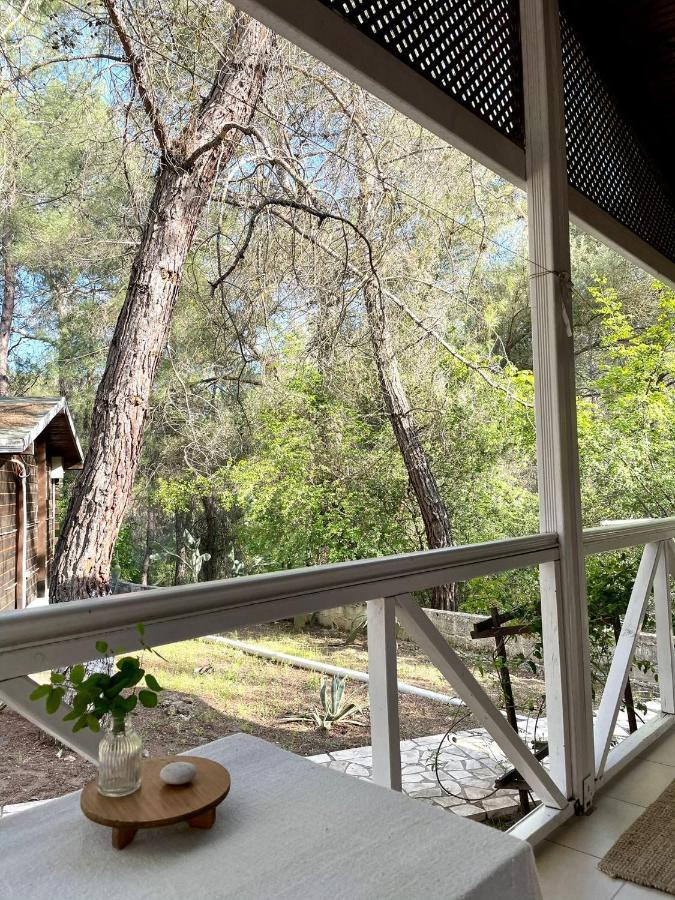 Olympos Angels Garden Hotel Kumluca Kültér fotó