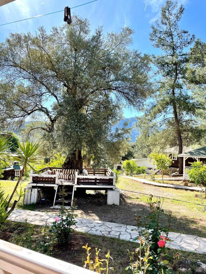 Olympos Angels Garden Hotel Kumluca Kültér fotó