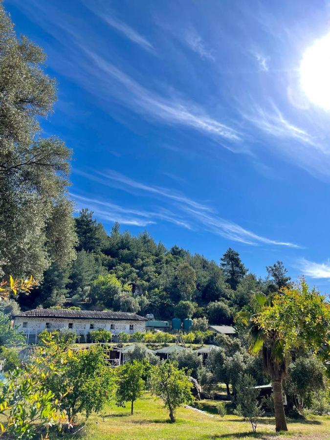 Olympos Angels Garden Hotel Kumluca Kültér fotó