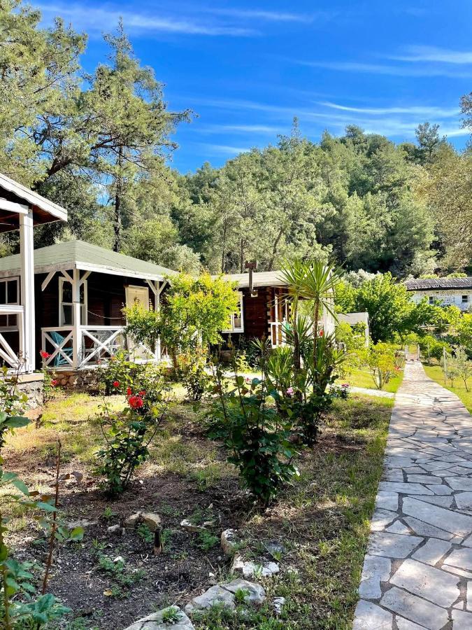 Olympos Angels Garden Hotel Kumluca Kültér fotó