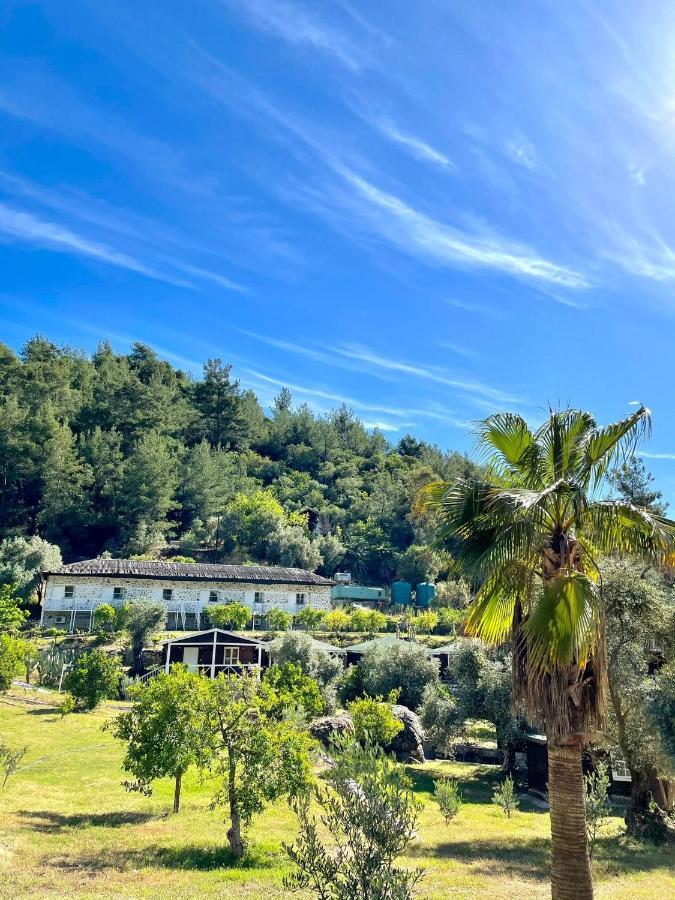 Olympos Angels Garden Hotel Kumluca Kültér fotó