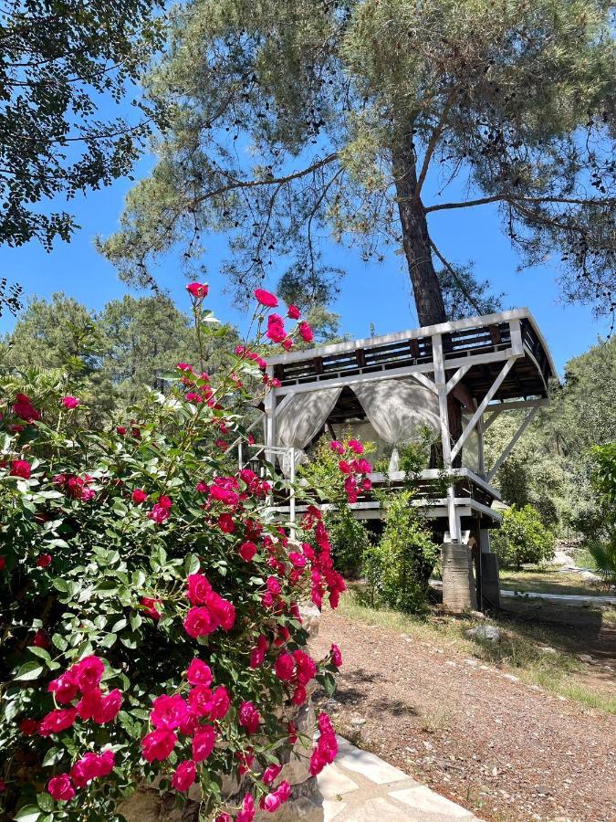 Olympos Angels Garden Hotel Kumluca Kültér fotó