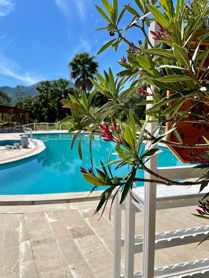 Olympos Angels Garden Hotel Kumluca Kültér fotó