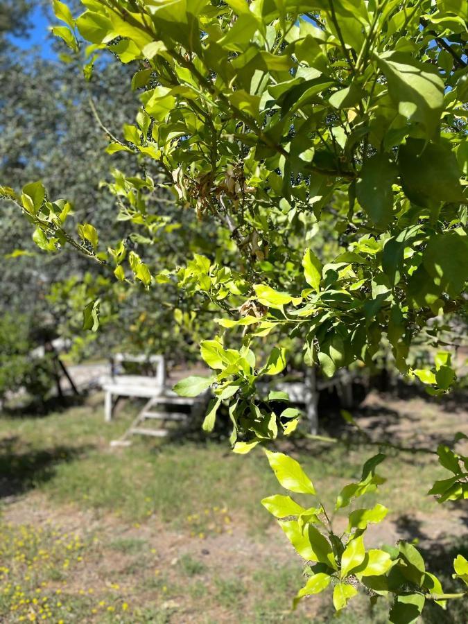 Olympos Angels Garden Hotel Kumluca Kültér fotó
