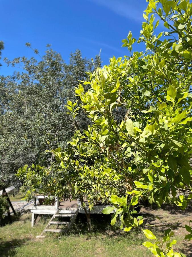 Olympos Angels Garden Hotel Kumluca Kültér fotó